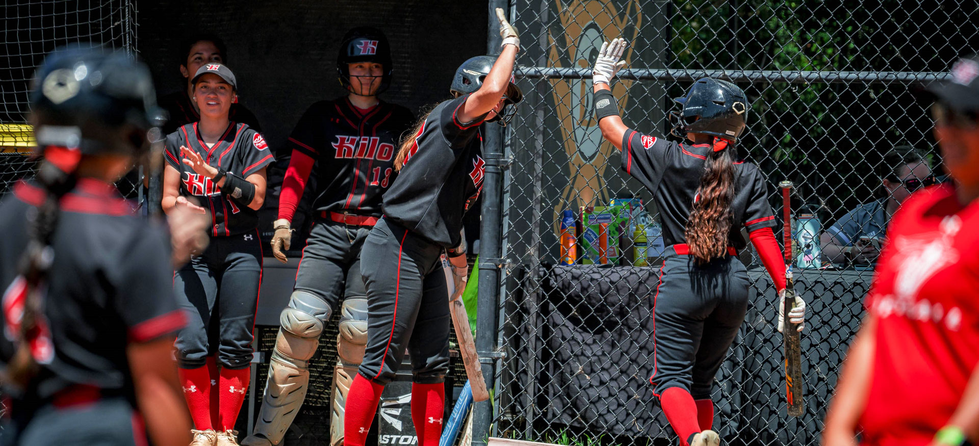 Hawaii Hilo Softball Camps